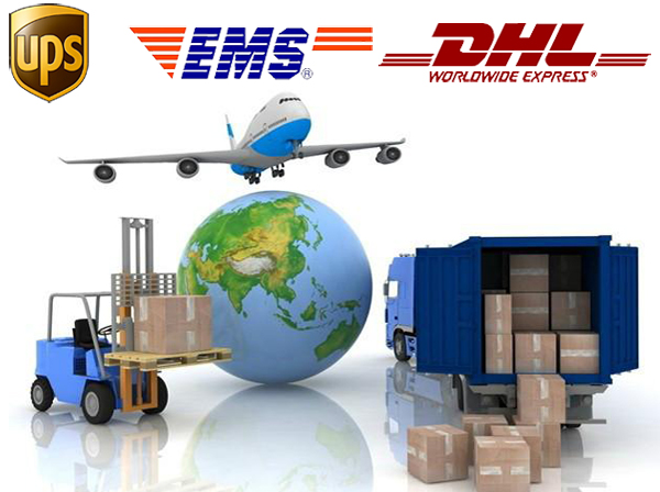 ヤスタオ代行 3 1 1P201160102M3